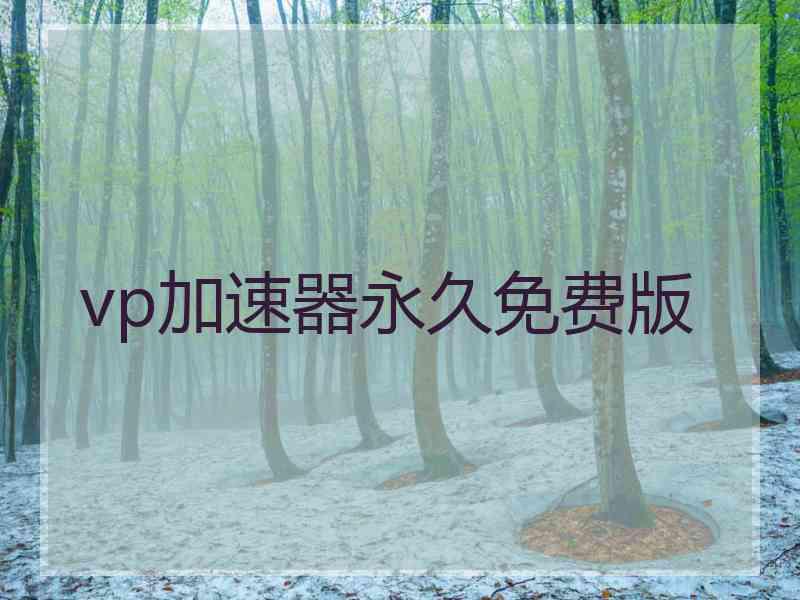 vp加速器永久免费版