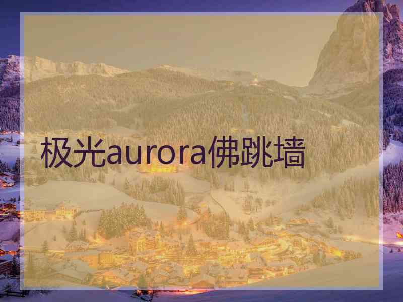 极光aurora佛跳墙