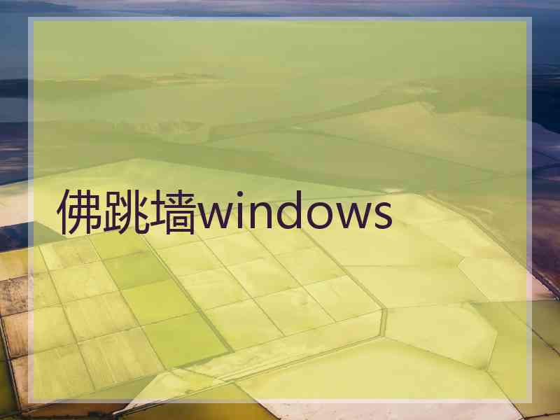 佛跳墙windows