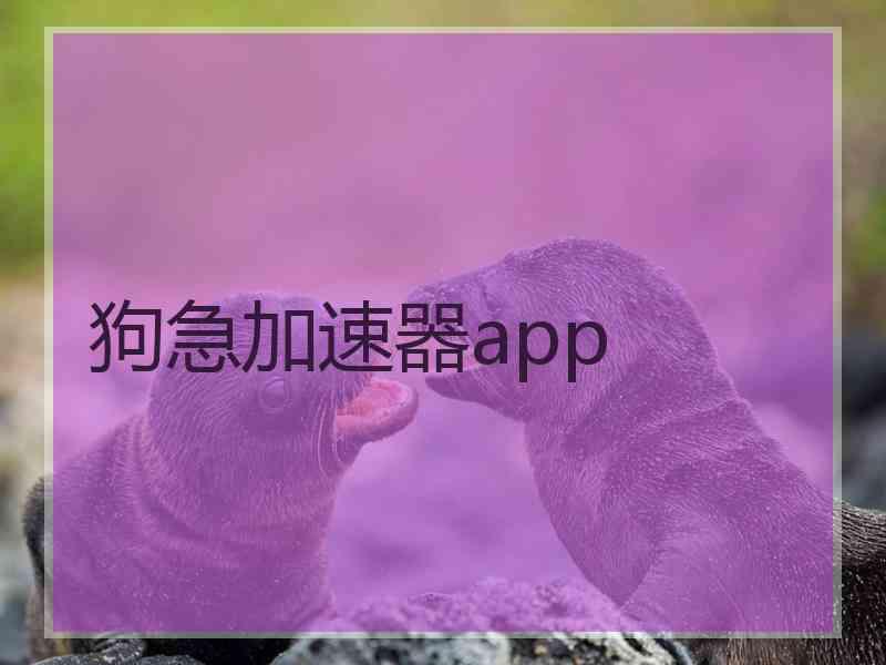 狗急加速器app