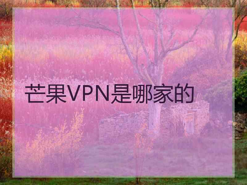 芒果VPN是哪家的