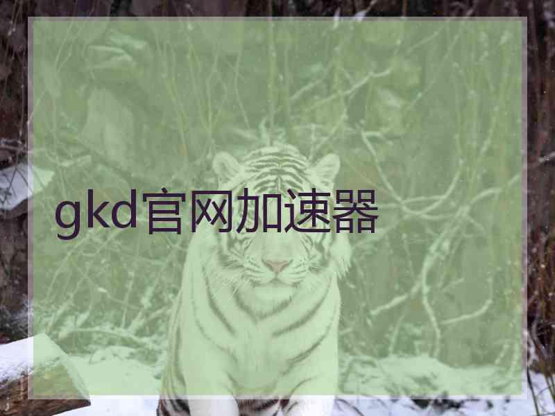 gkd官网加速器