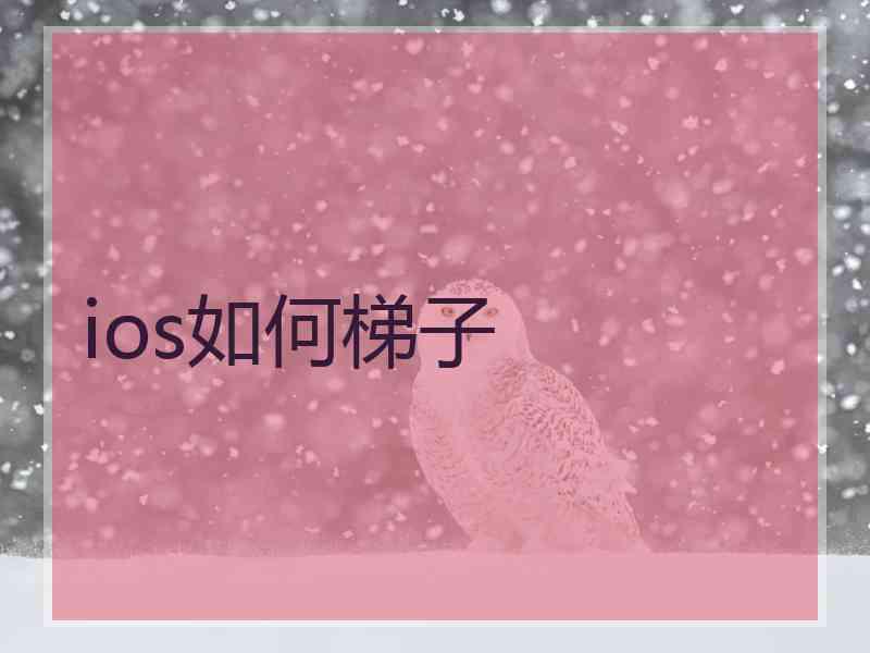 ios如何梯子