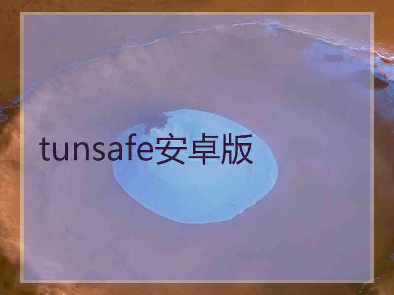 tunsafe安卓版