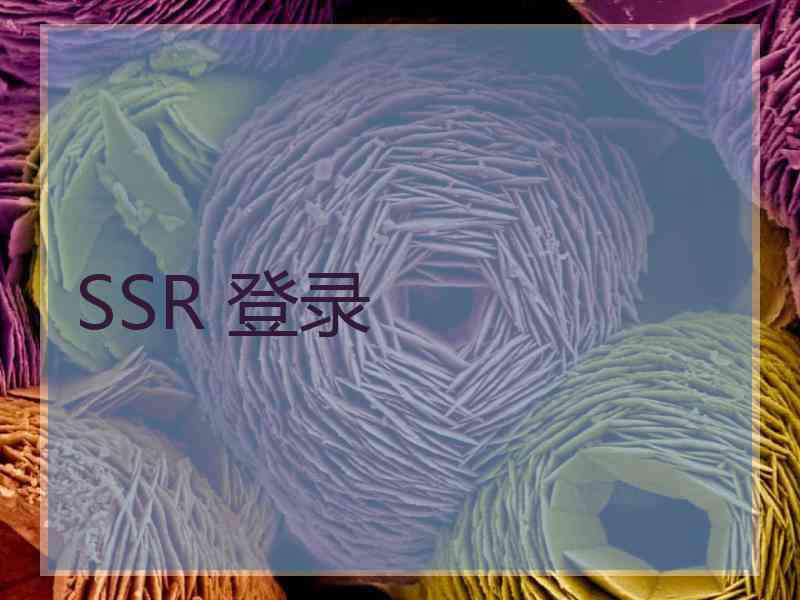 SSR 登录