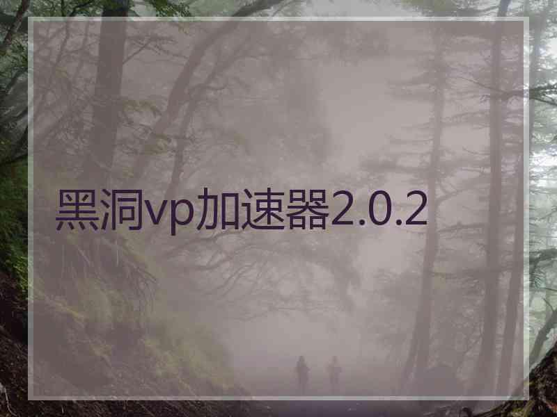 黑洞vp加速器2.0.2