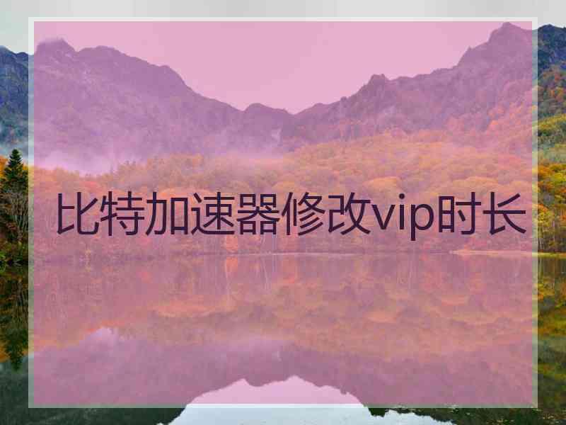 比特加速器修改vip时长