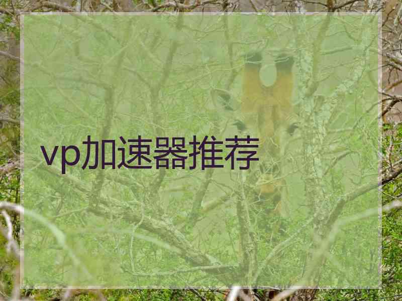 vp加速器推荐