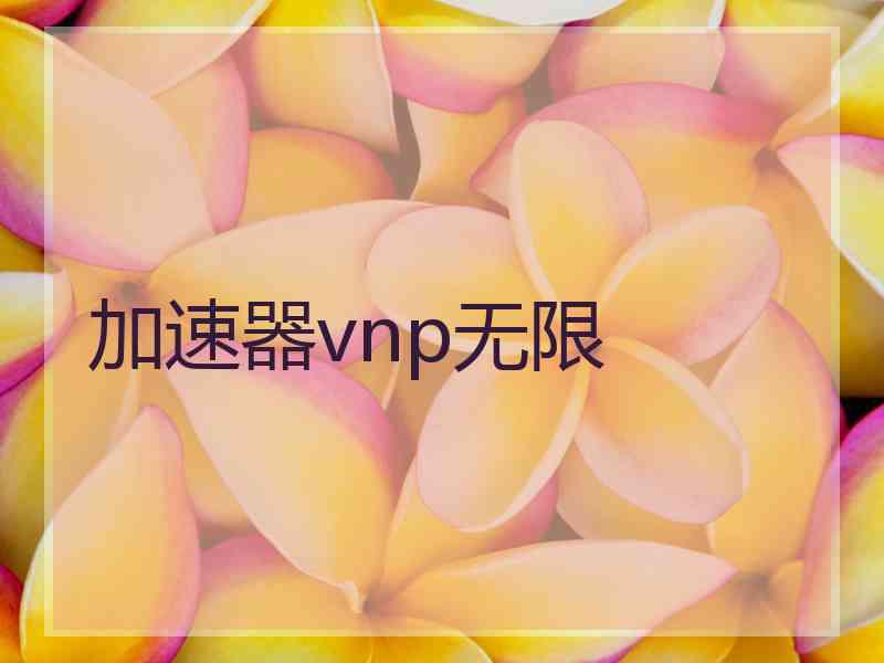 加速器vnp无限