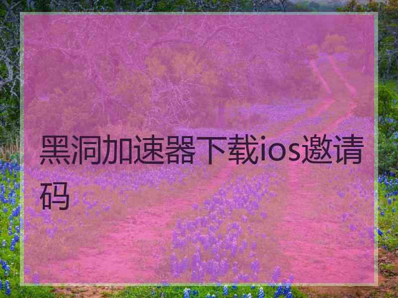 黑洞加速器下载ios邀请码