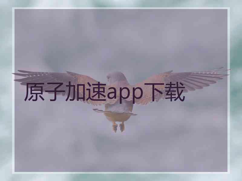 原子加速app下载