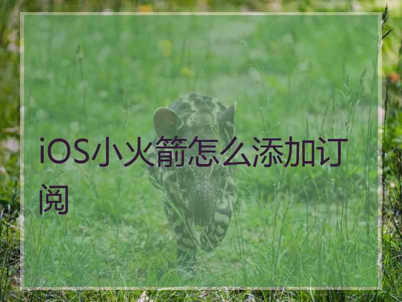 iOS小火箭怎么添加订阅