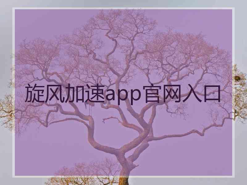 旋风加速app官网入口