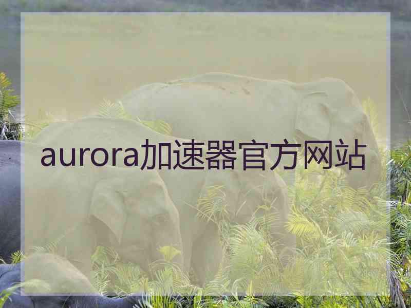 aurora加速器官方网站