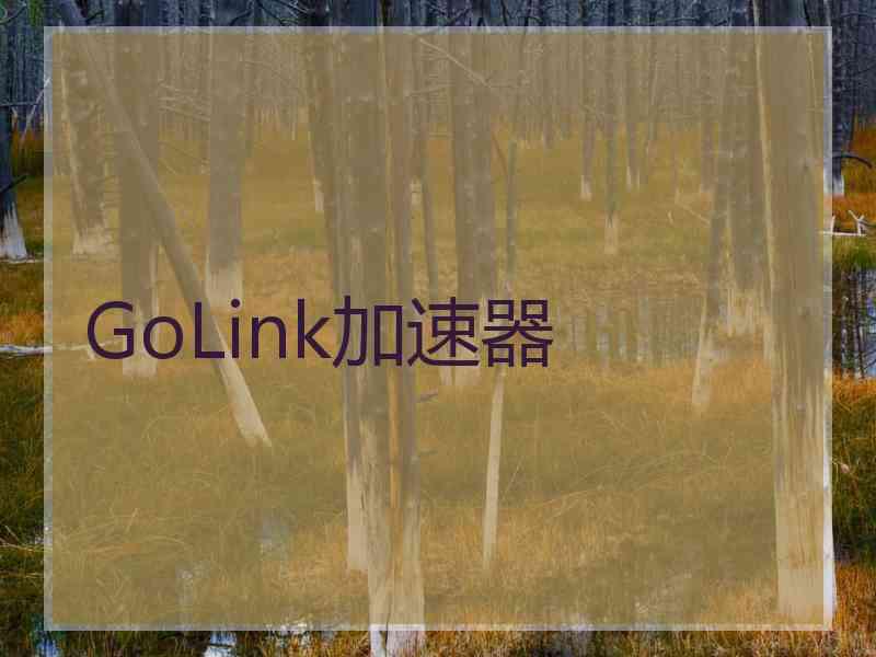 GoLink加速器