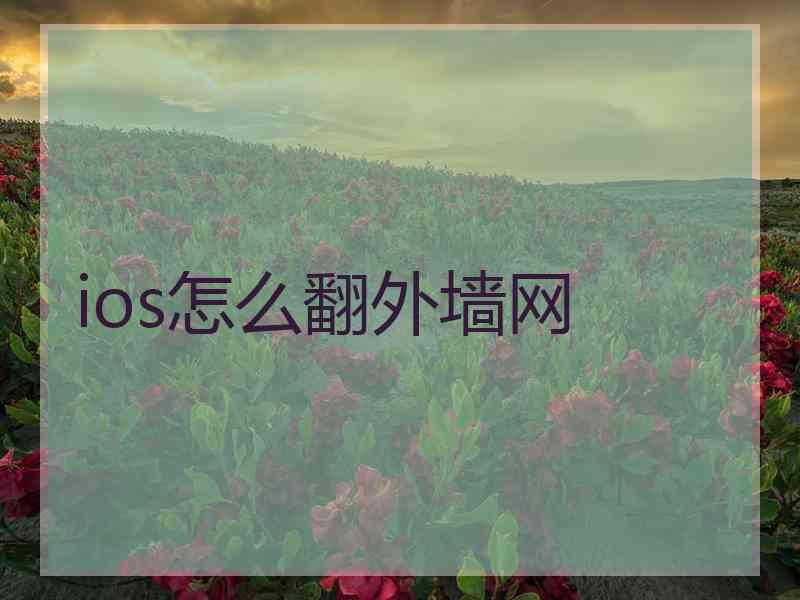 ios怎么翻外墙网