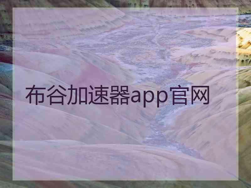 布谷加速器app官网