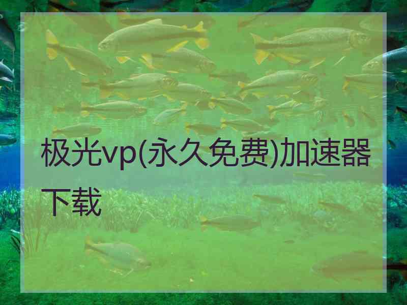 极光vp(永久免费)加速器下载