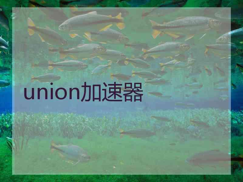 union加速器