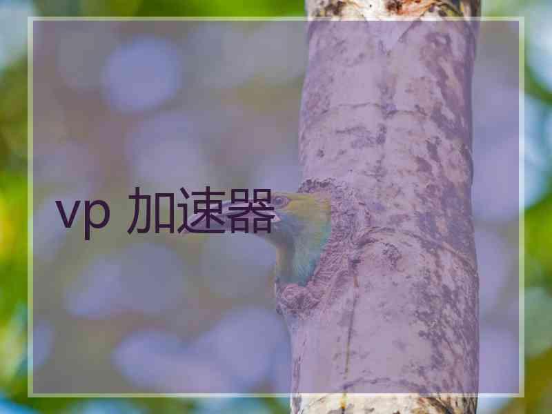 vp 加速器