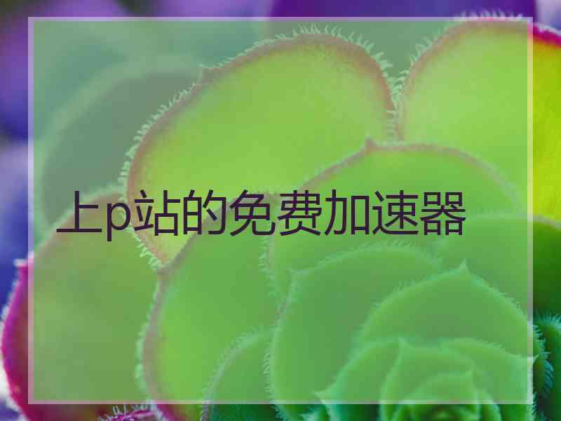 上p站的免费加速器