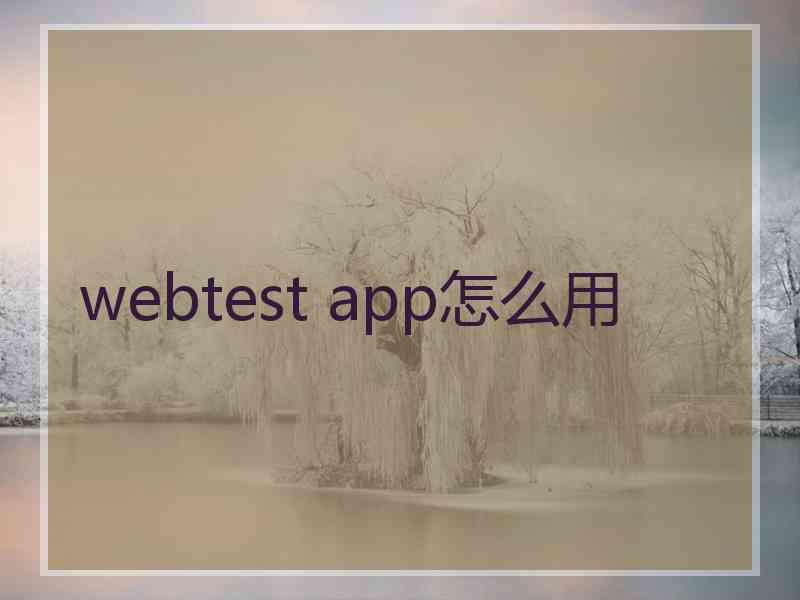 webtest app怎么用