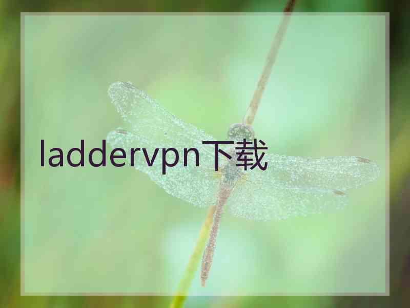 laddervpn下载