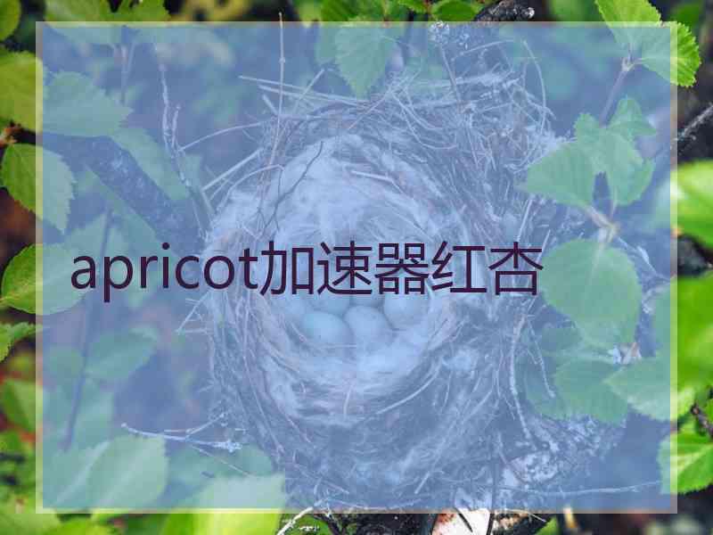 apricot加速器红杏