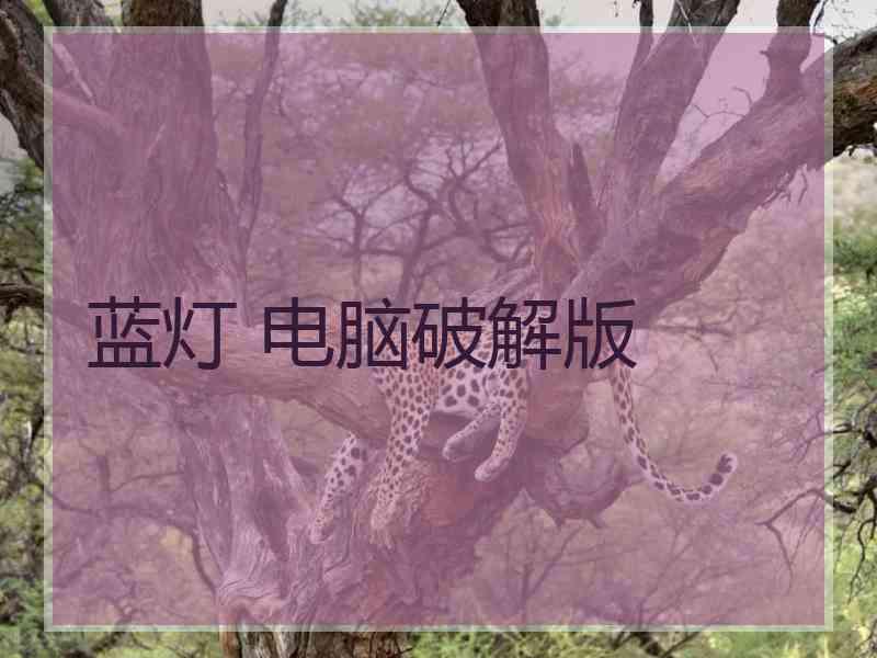 蓝灯 电脑破解版