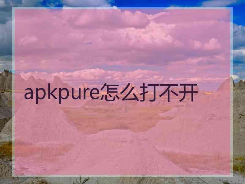 apkpure怎么打不开