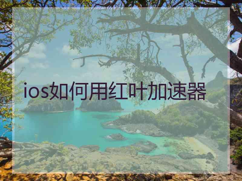 ios如何用红叶加速器