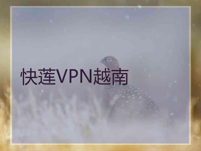 快莲VPN越南