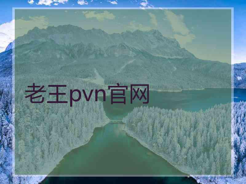 老王pvn官网