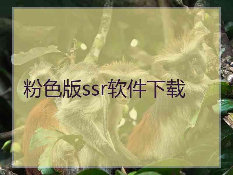 粉色版ssr软件下载