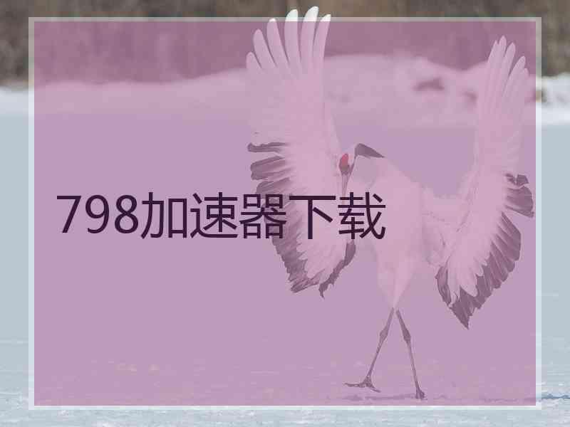 798加速器下载