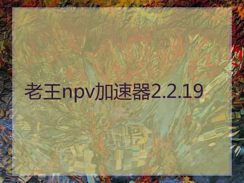 老王npv加速器2.2.19