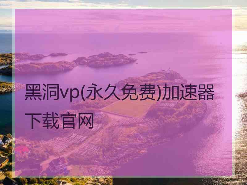 黑洞vp(永久免费)加速器下载官网