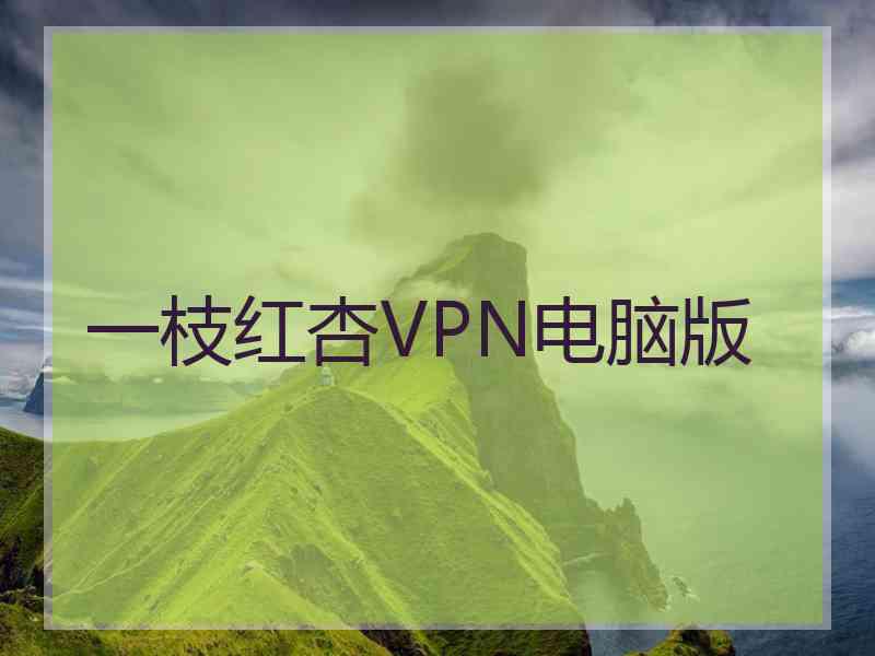 一枝红杏VPN电脑版