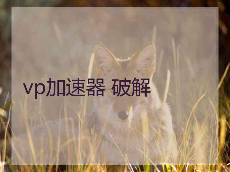 vp加速器 破解