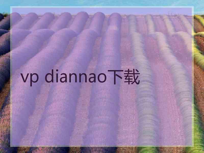 vp diannao下载