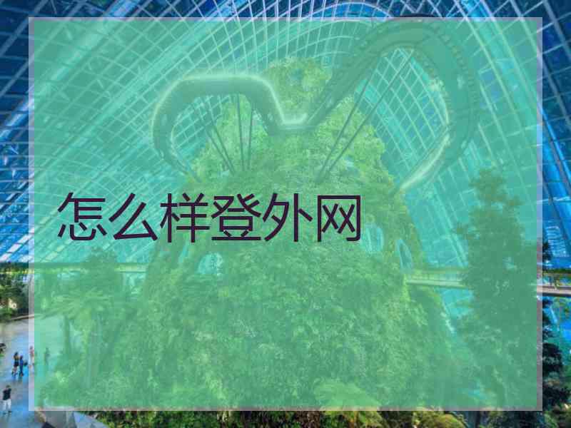 怎么样登外网