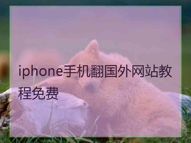 iphone手机翻国外网站教程免费