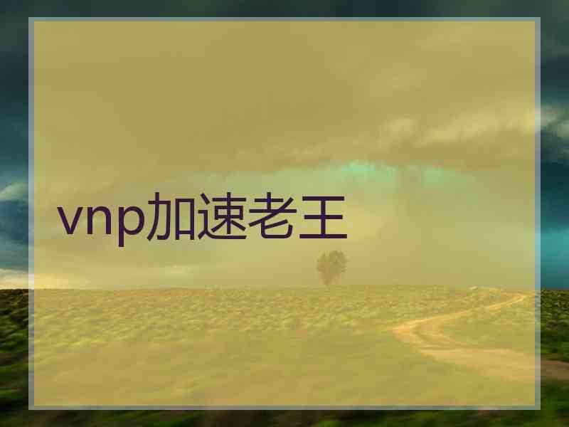 vnp加速老王