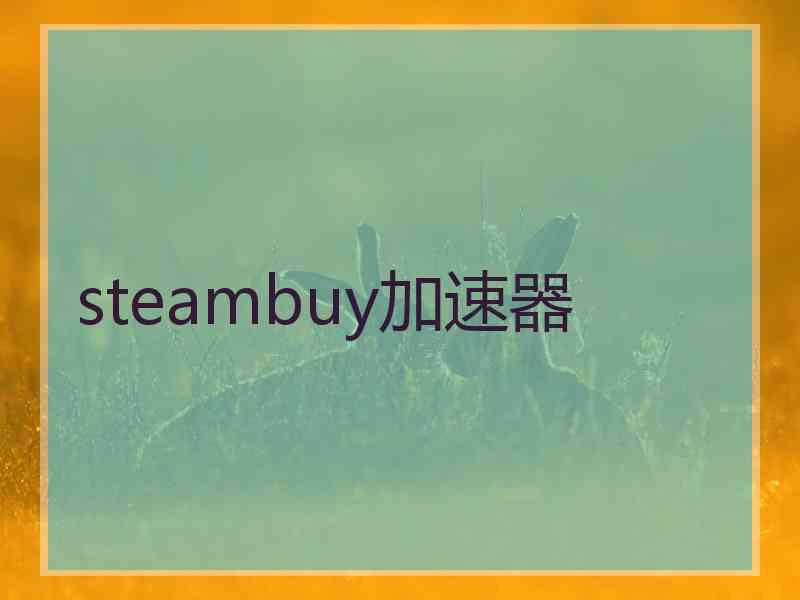 steambuy加速器